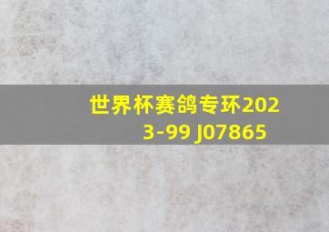 世界杯赛鸽专环2023-99 J07865